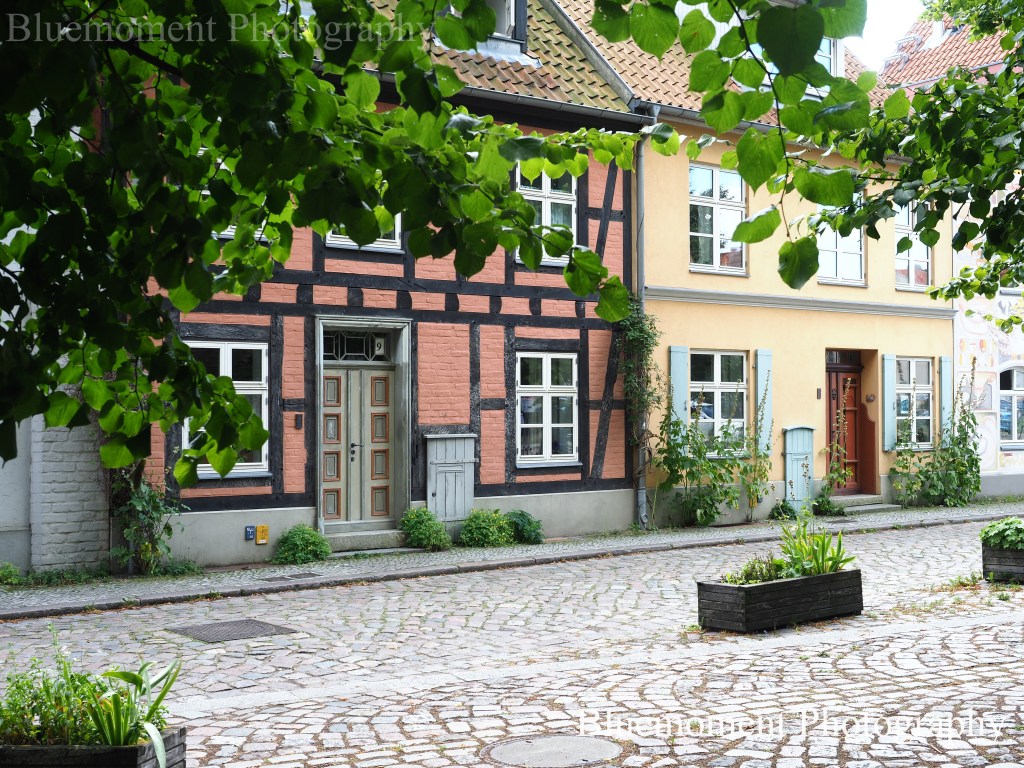 This image has an empty alt attribute; its file name is p1012338-ink.jpeg