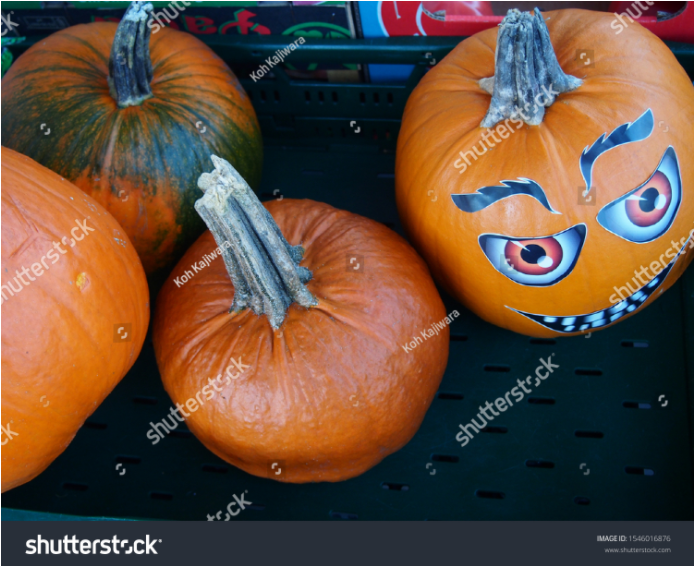 This image has an empty alt attribute; its file name is image-2.png