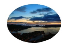 This image has an empty alt attribute; its file name is bluemoment-emblem.jpg